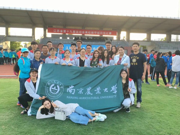 海星体育指定入口图片