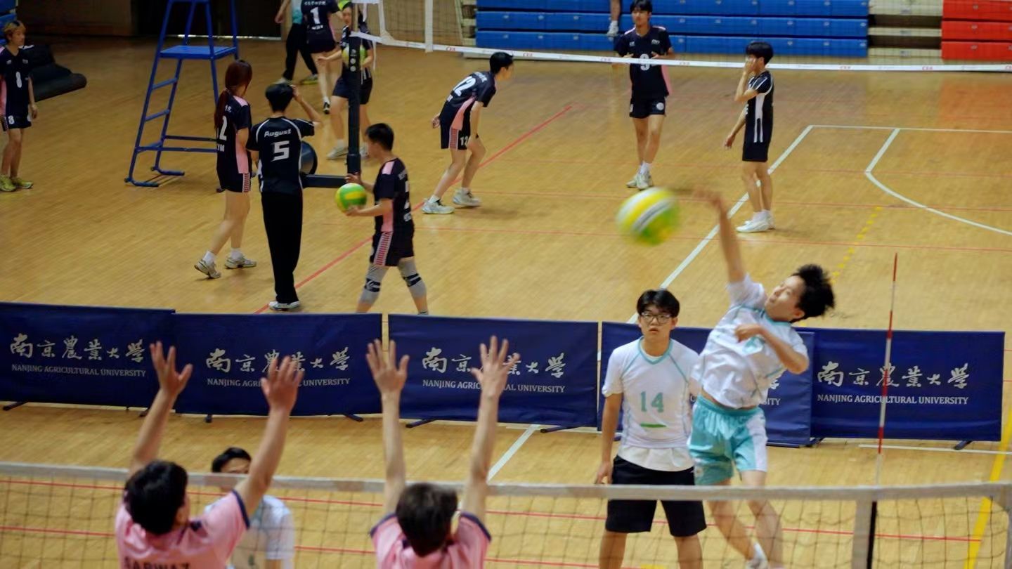 海星体育指定入口图片