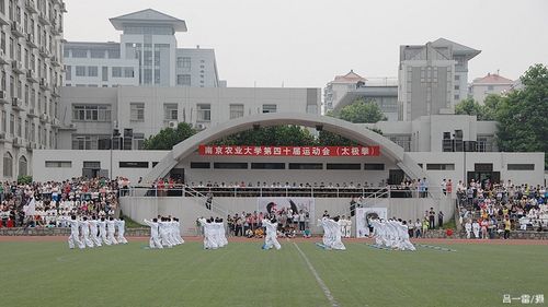 海星体育安全通道图片