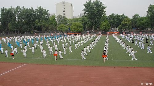 海星体育平台图片