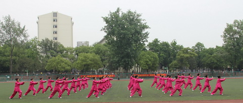 海星体育指定入口图片