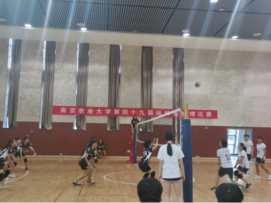海星体育核心通道图片