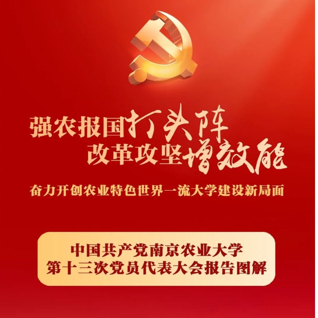 海星体育欧洲杯图片