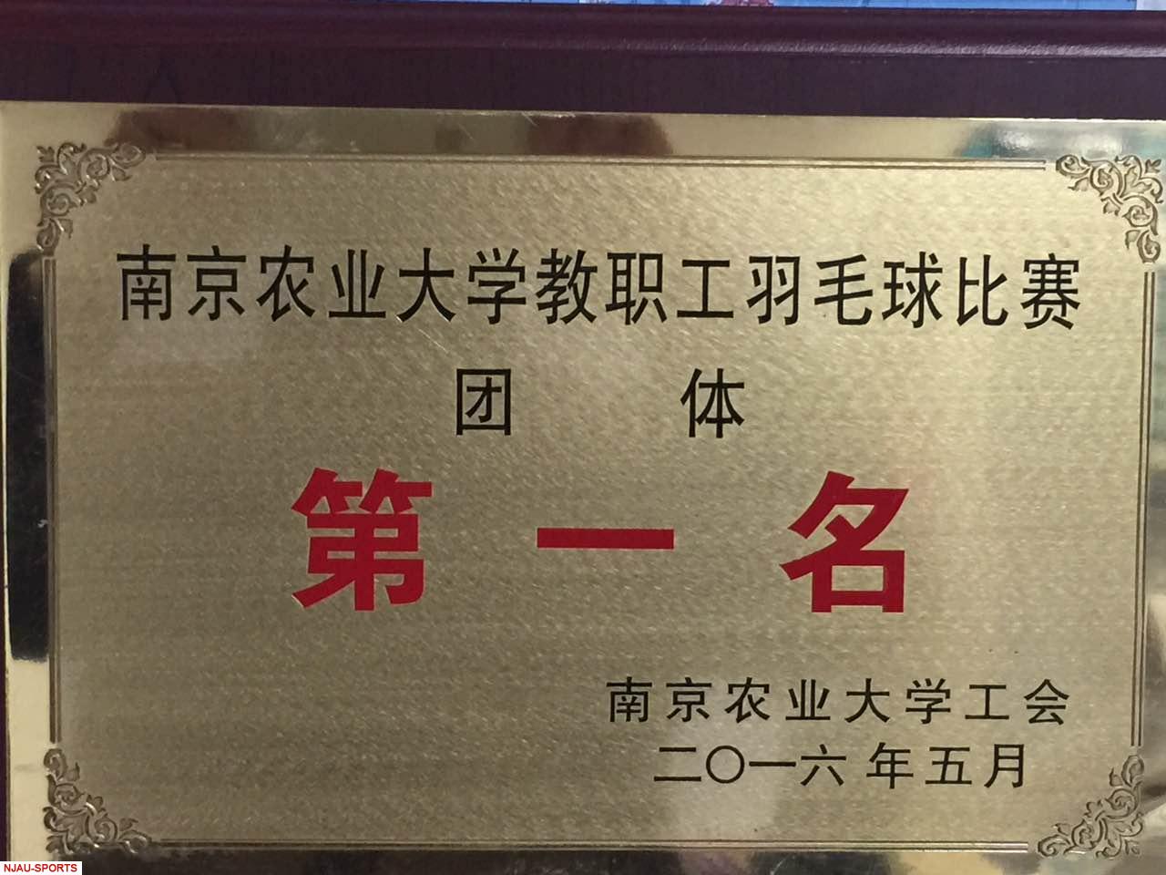 海星体育加速节点