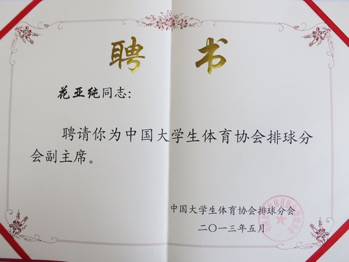 海星体育核心通道图片