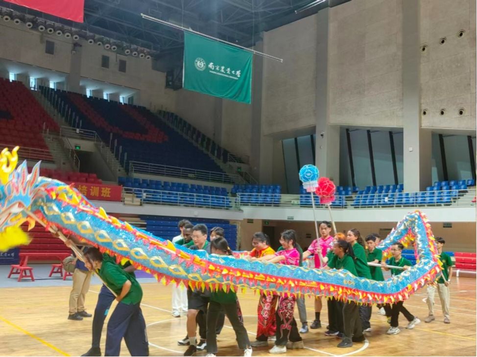 海星体育核心通道图片