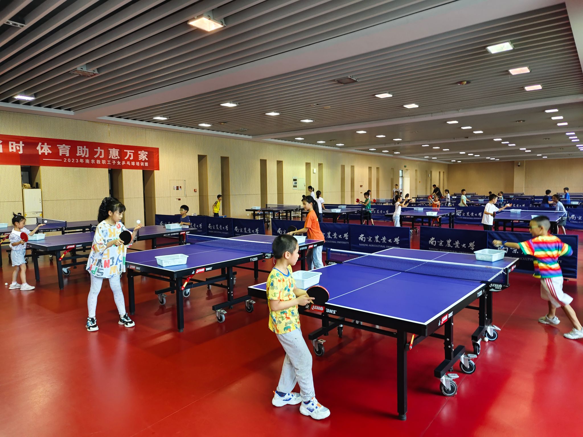 海星体育平台图片
