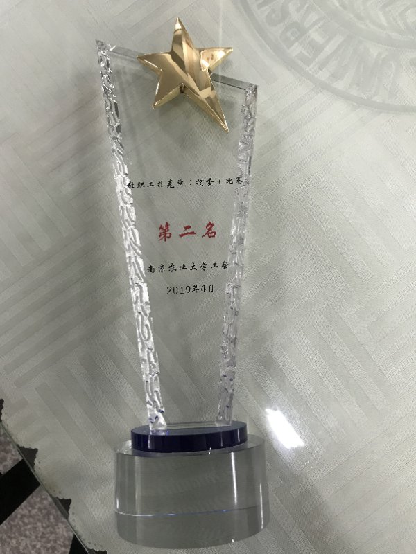 海星体育安全通道
