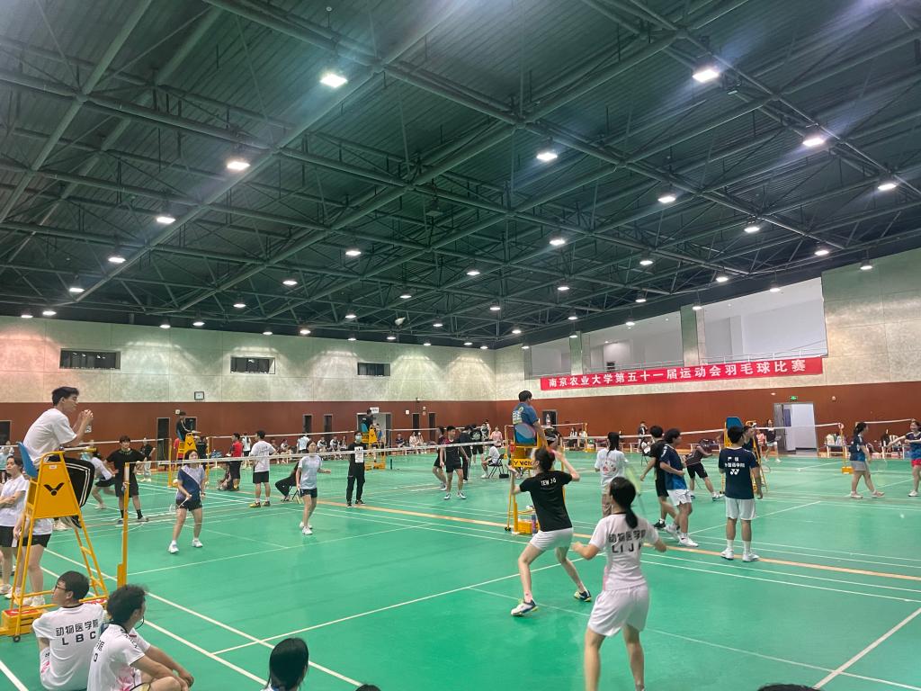 海星体育指定通道